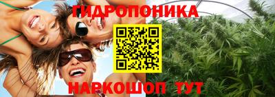 эйфоретик Заволжье