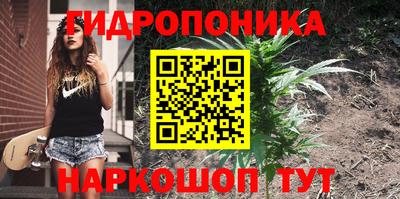 дживик Заводоуковск